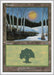 Image for Forest (50) (50) (Deckmasters Garfield vs Finkel) (DKM) - Magic: The Gathering