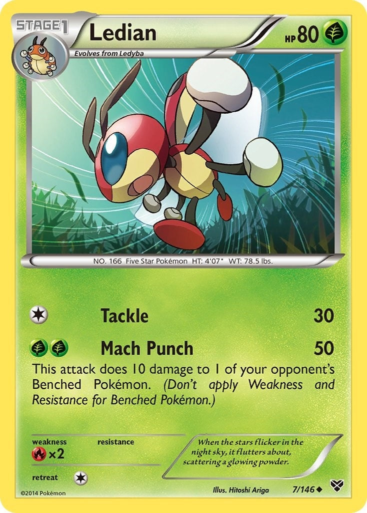 Ledian (7/146) (XY Base Set)