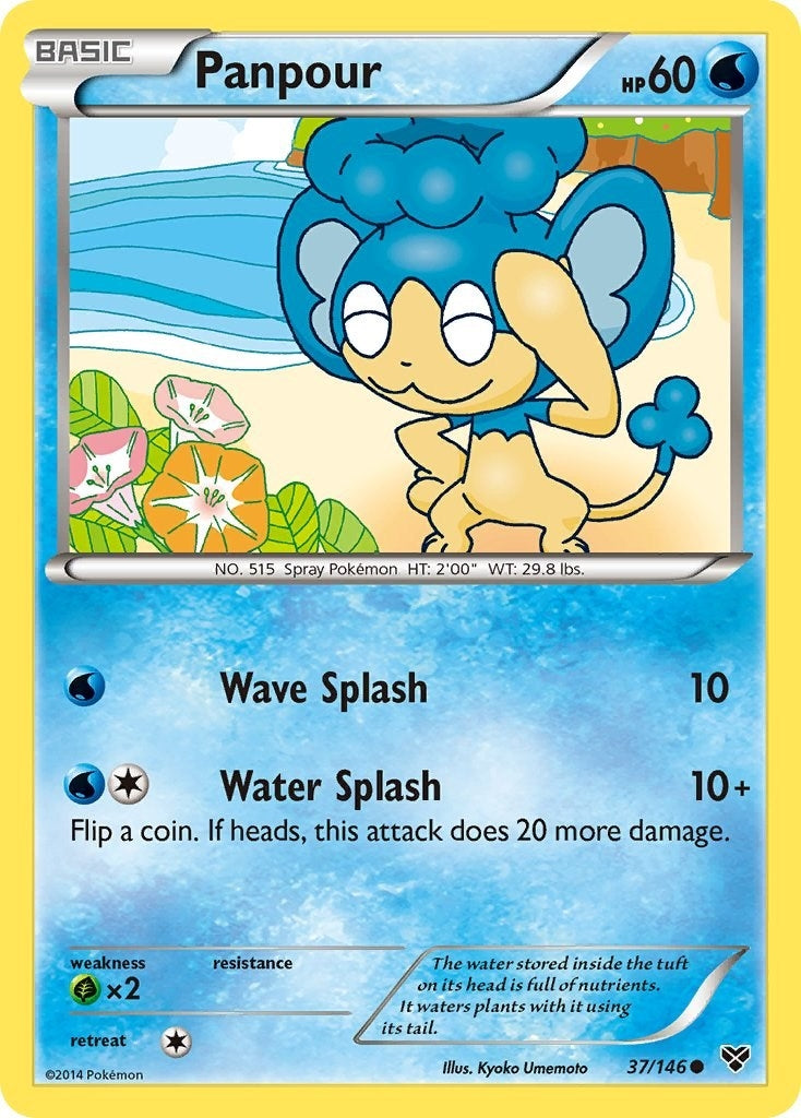 Panpour (37/146) (XY Base Set)