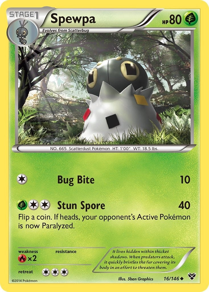 Spewpa (16/146) (XY Base Set)