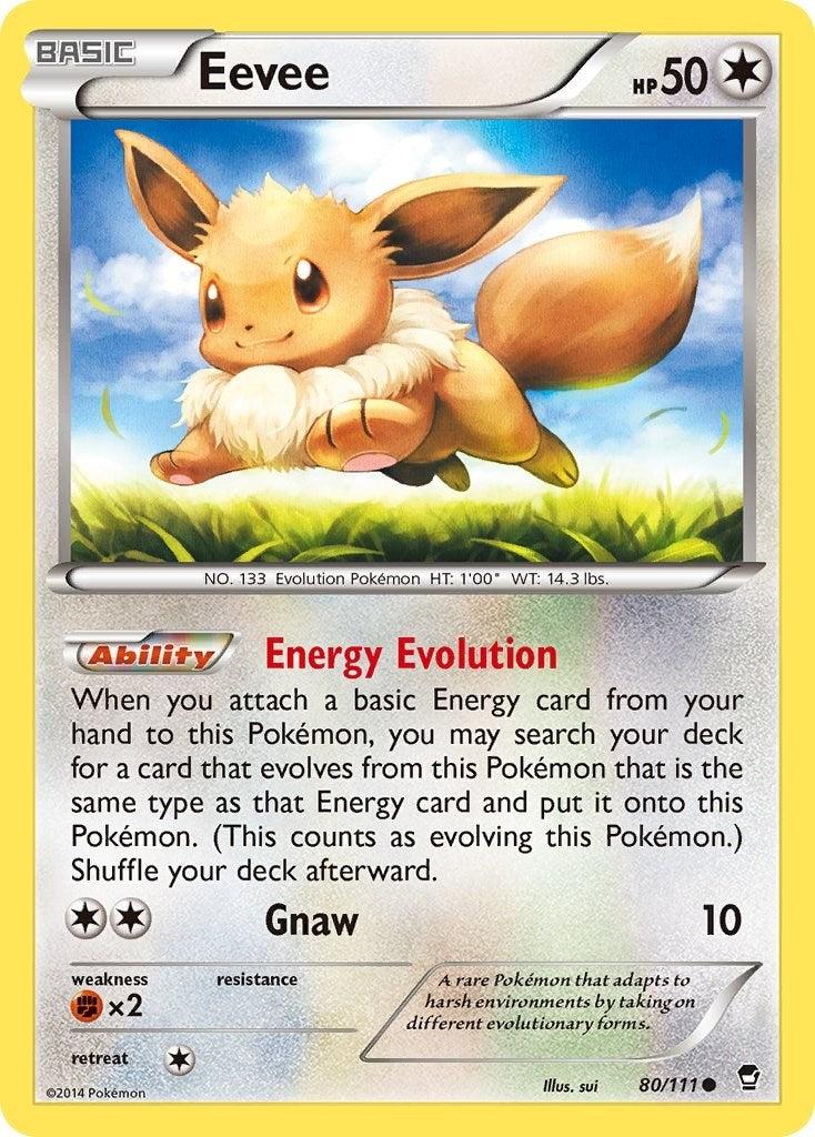 Eevee (80/111) (XY - Furious Fists)