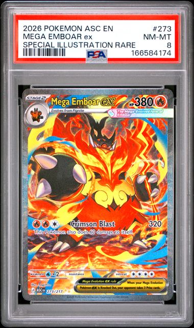 MEGA EMBOAR ex SPECIAL ILLUSTRATION RARE - PSA 8