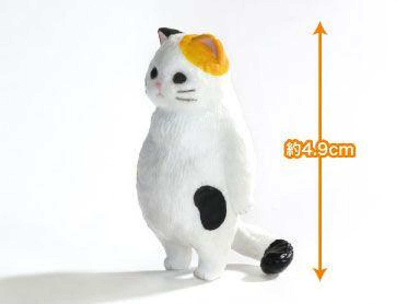 Kyomu. Vol 1 Blind Box