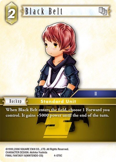 Black Belt 4- - Card Masters